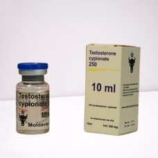 Testosterone cypionate 250 mg Moldavian Pharma